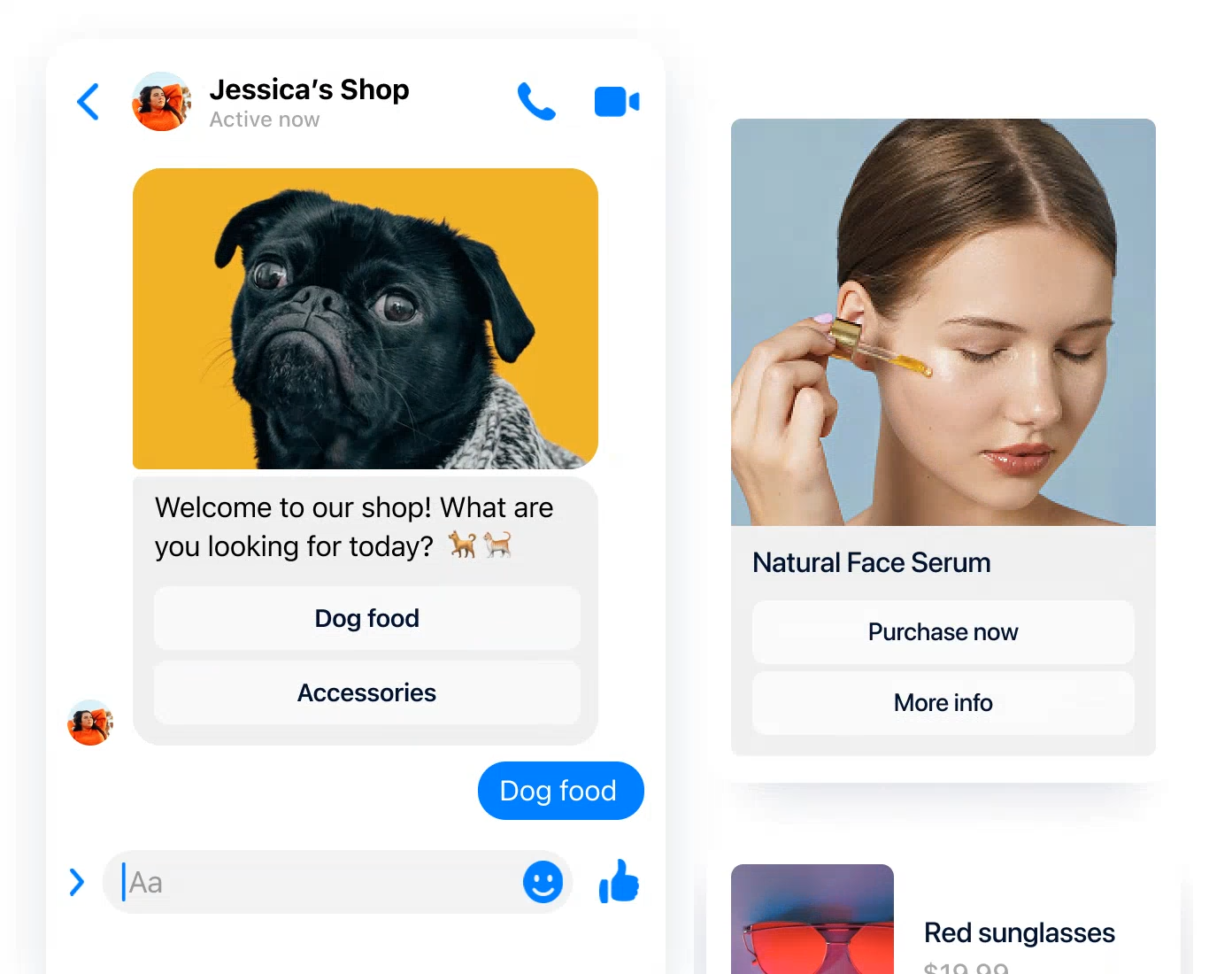 WhatsApp Integration Preview